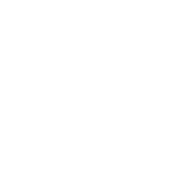 Icono diagnóstico financiero